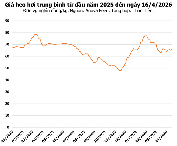 Thị trường heo hơi ghi nhận đà tăng nhẹ tại khu vực miền Nam trong sáng ngày 16/04/2026