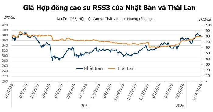 Biểu đồ diễn biến giá cao su kỳ hạn tại Thái Lan và Nhật Bản ngày 17/4/2026