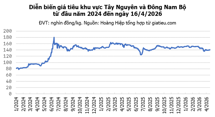 Giá hạt tiêu trong nước tăng phiên thứ ba liên tiếp