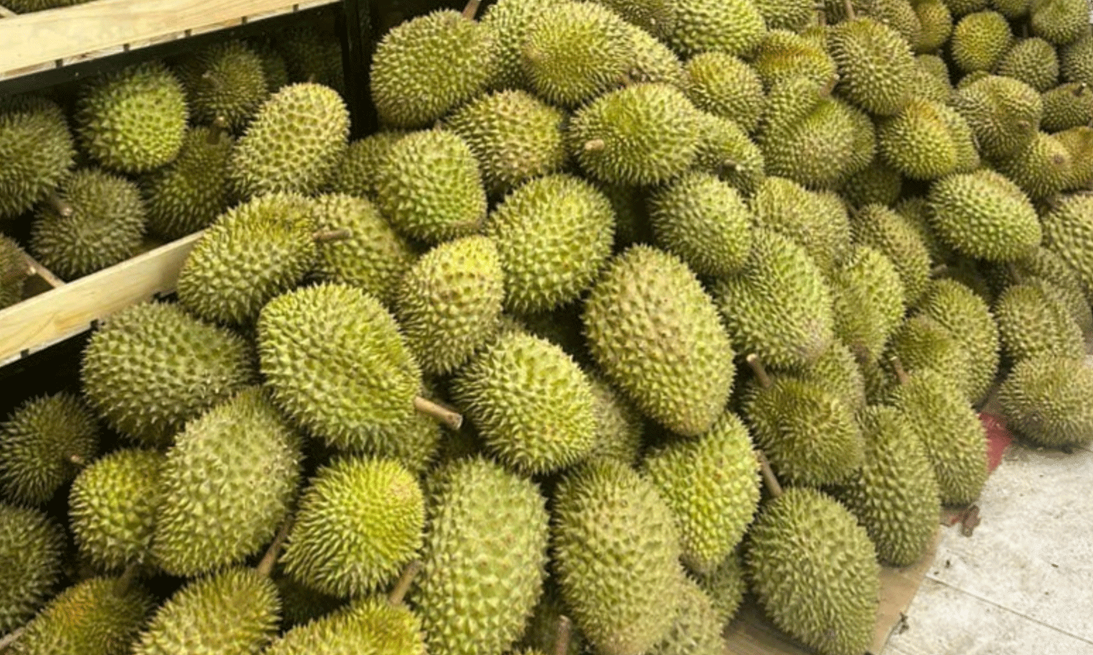 Giá sầu riêng hôm nay 22/4/2026: Giá sầu riêng RI6 và sầu riêng Thái