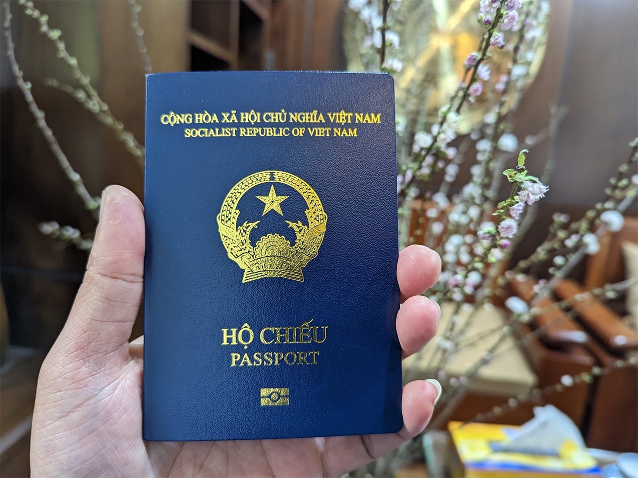 Hướng dẫn làm passport online 2026 nhanh nhất