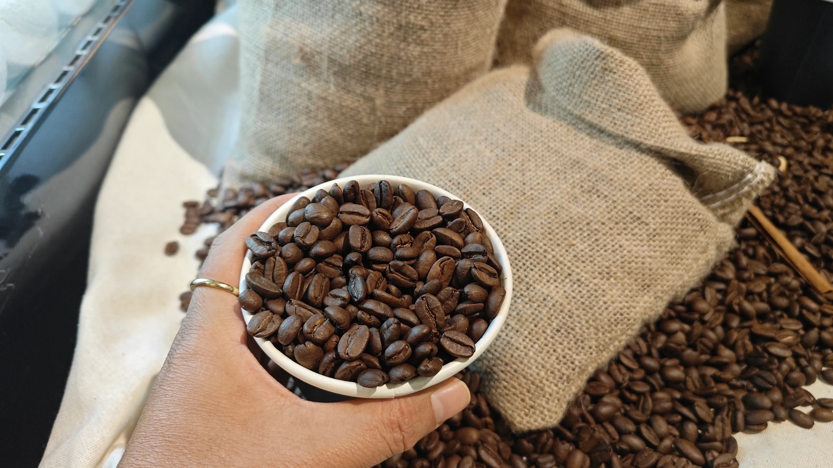 Giá cà phê hôm nay 22/4/2026: Trong nước giảm 500 đồng