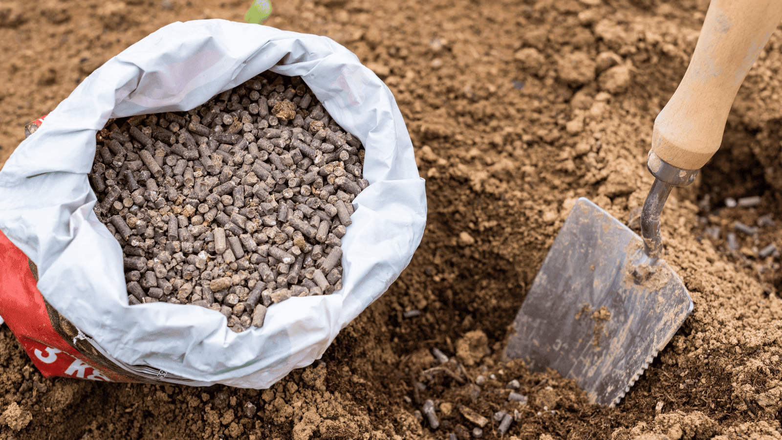 Giá phân bón hôm nay 24/4/2026: DAP Nga chạm mốc 1,24 triệu