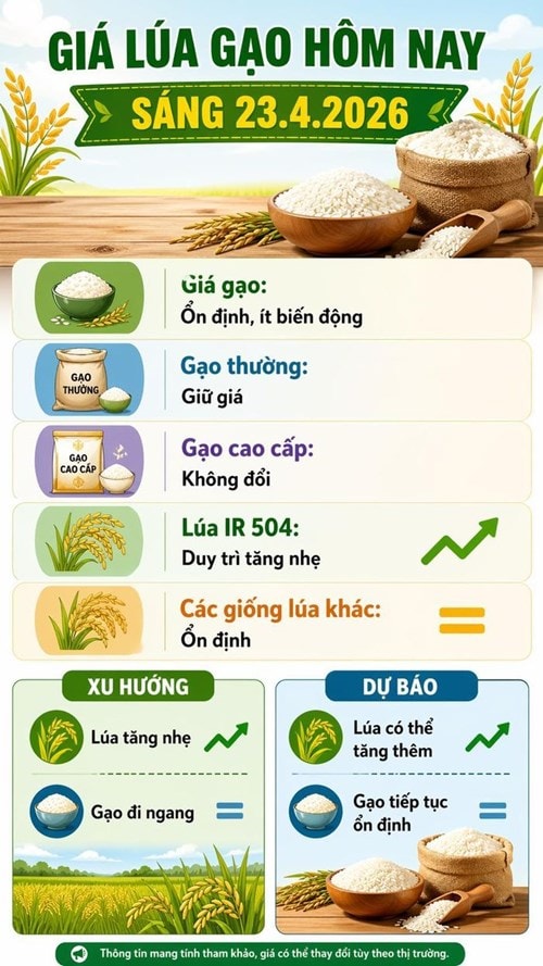 Thị trường lúa gạo ghi nhận sự ổn định về giá gạo và tăng nhẹ về giá lúa trong ngày 23/4