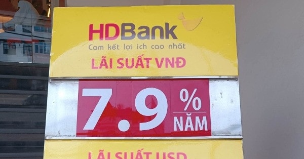 Lãi suất đặc biệt dành cho khách hàng VIP tại HDBank giảm mạnh theo xu hướng chung của thị trường.