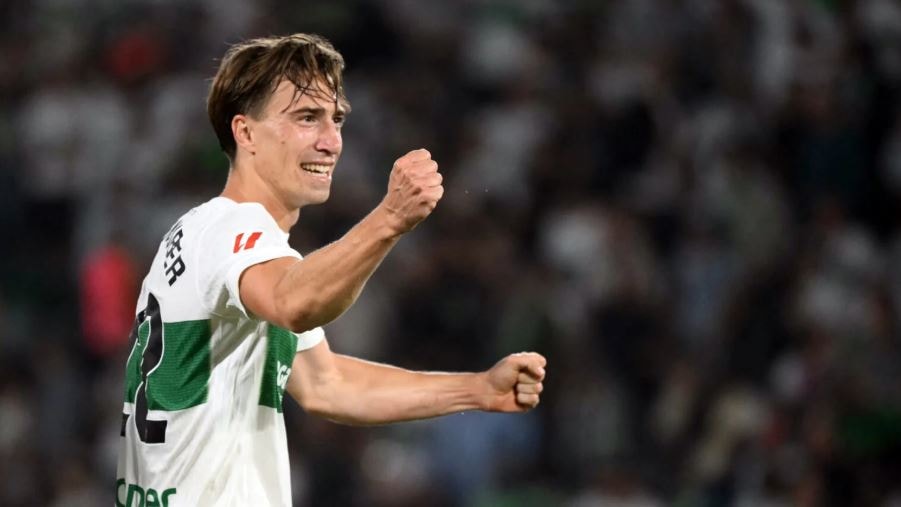 David Affengruber trong màu áo Elche tại La Liga.