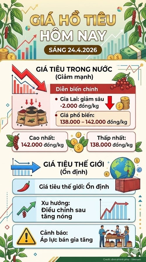 Bảng giá hạt tiêu trong nước ngày 24/4/2026 cập nhật mới nhất