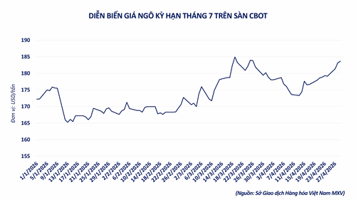 Diễn biến giá ngô kỳ hạn tháng 7 trên sàn CBOT