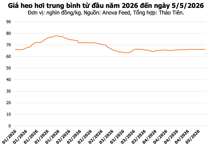 Biểu đồ giá heo hơi hôm nay tại ba miền