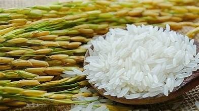 Thị trường lúa gạo ngày 6/5 diễn biến trầm lắng dù giá lúa tươi nhích nhẹ