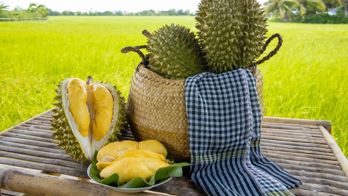 Giá sầu riêng hôm nay 8/5: Tây Nam Bộ cao nhất 90.000đ/kg