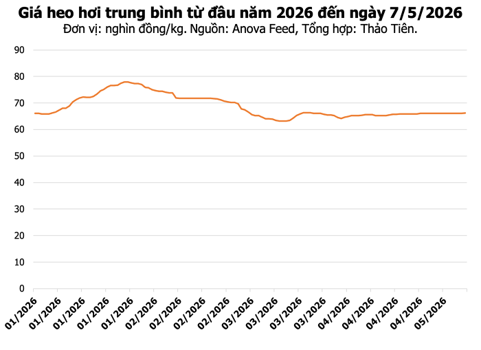 Công tác kiểm soát dịch bệnh heo tại Sơn La