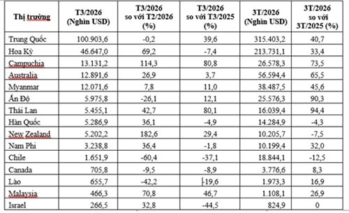 Biểu đồ kim ngạch nhập khẩu rau quả Việt Nam tháng 3/2026 và 3 tháng đầu năm 2026