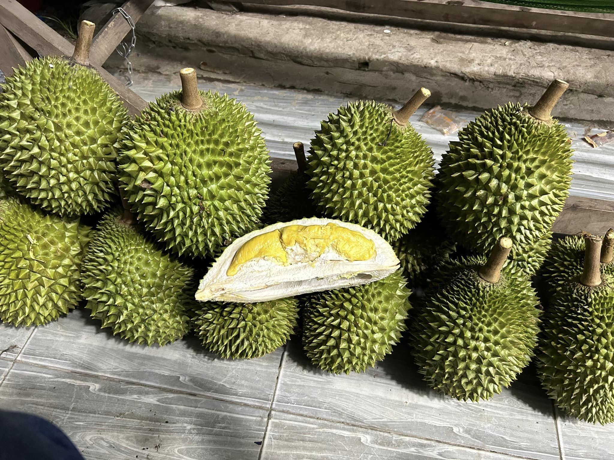 Giá sầu riêng hôm nay 12/5/2026 cao nhất 115.000 đồng/kg
