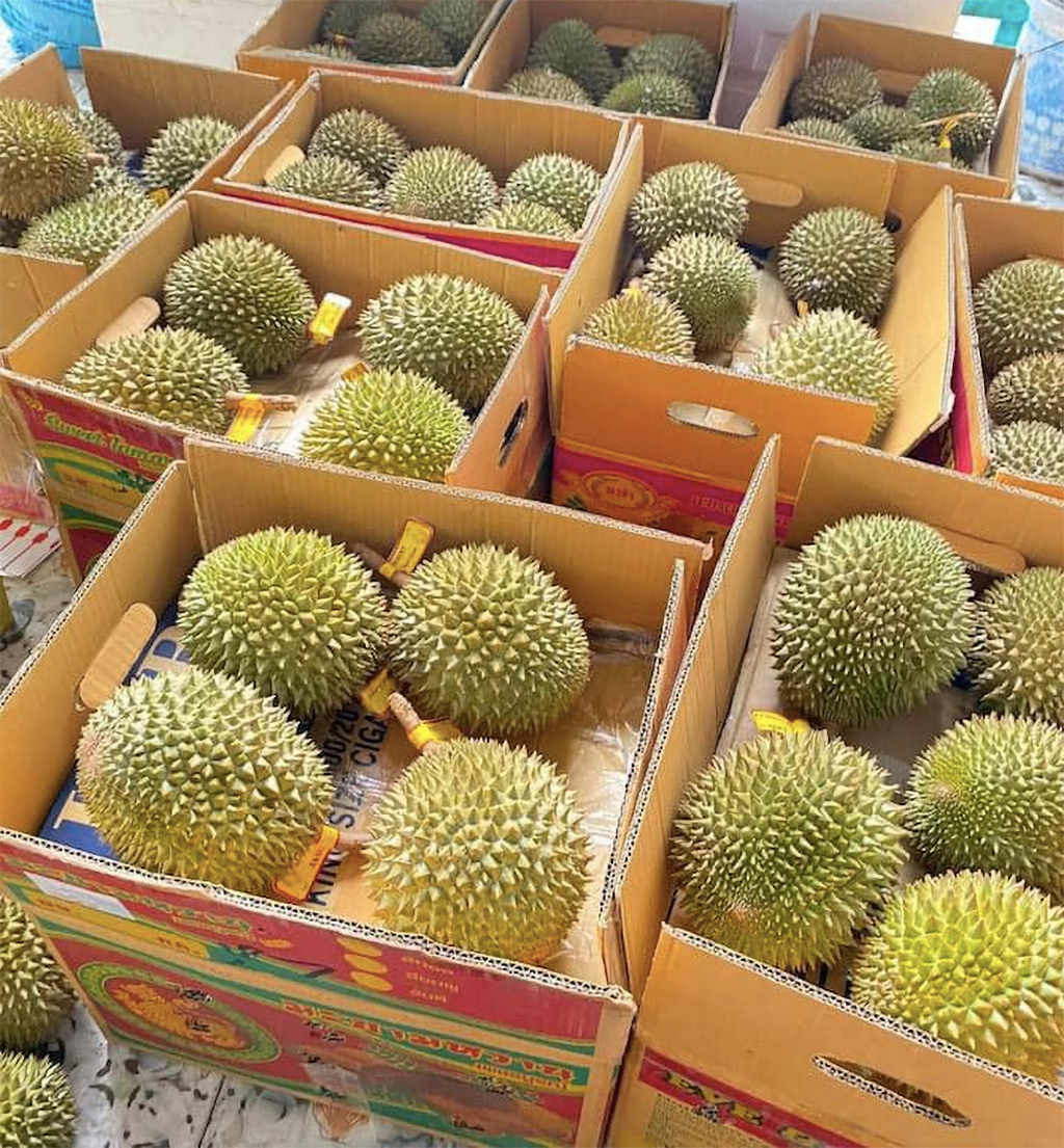 Giá sầu riêng hôm nay 15/5/2026 đi ngang tại nhiều vùng