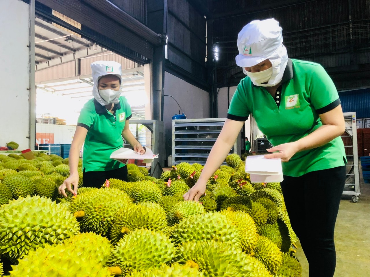 Giá sầu riêng hôm nay 19/5/2026: Black Thorn cao nhất 110.000 đồng/kg
