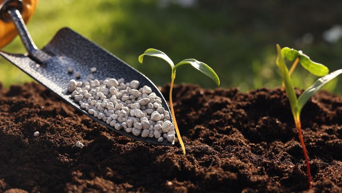 Giá phân bón hôm nay 20/5/2026: EU cân nhắc dự trữ phân bón do nitrogen tăng 70%