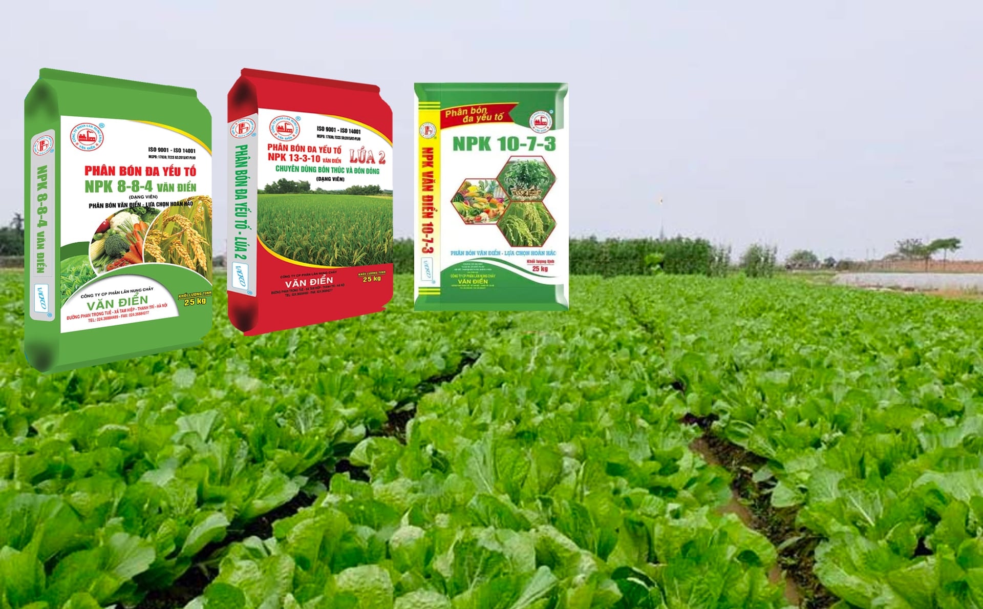 Giá phân bón hôm nay 22/5 ổn định, thị trường dậy sóng vì hàng giả