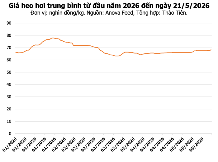 Biểu đồ giá heo hơi hôm nay tại các khu vực trên cả nước ngày 21/5