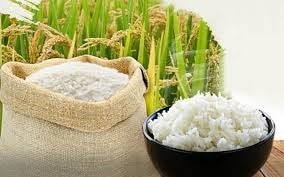 Thị trường lúa gạo hôm nay ghi nhận giá lúa Hè Thu và gạo xuất khẩu tăng nhẹ