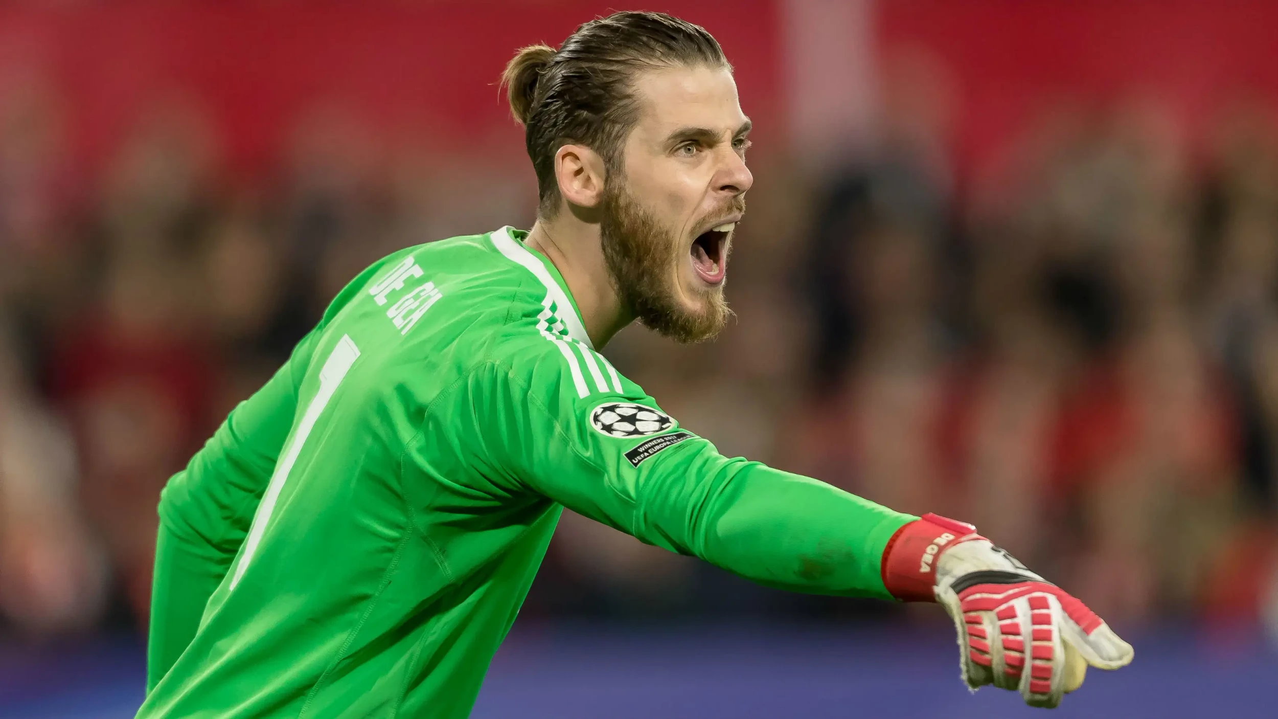 Các cổ động viên Manchester United sẽ luôn ghi nhớ những đóng góp của thủ thành người Tây Ban Nha.