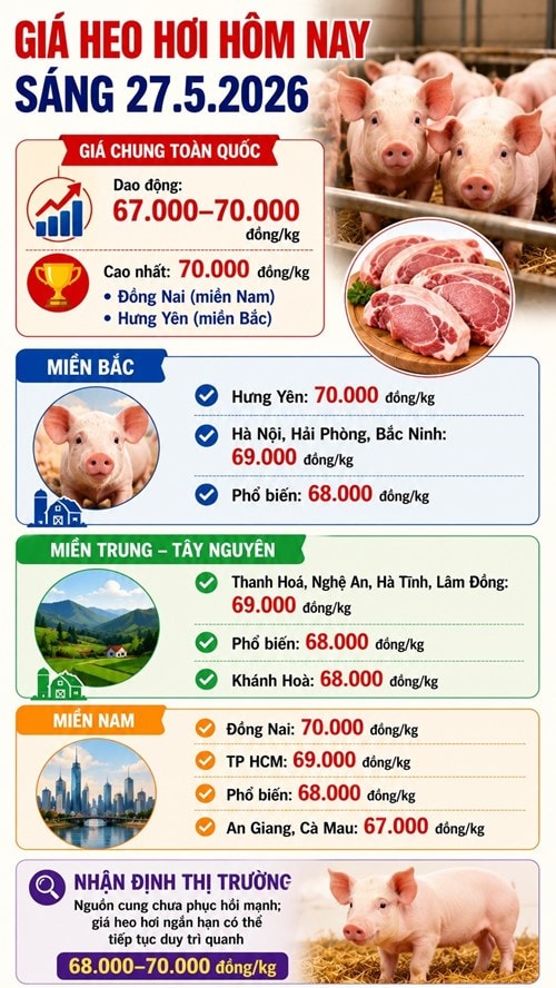 Giá heo hơi ngày 27.5 duy trì ổn định quanh vùng giá cao tại nhiều địa phương