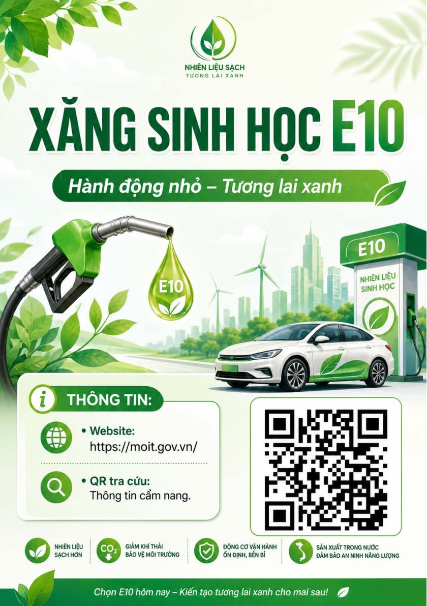 Trang 11 cẩm nang xăng E10