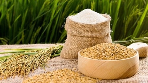 Thị trường lúa gạo ngày 29/5 duy trì mức giá ổn định tại khu vực Đồng bằng sông Cửu Long