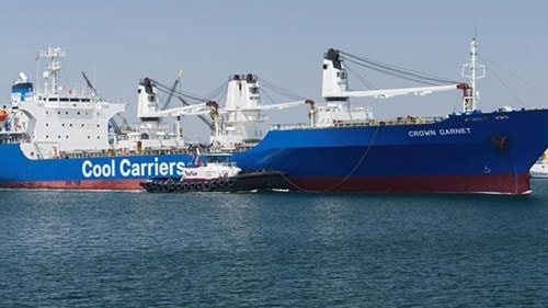 Vận chuyển container lạnh đang đối mặt với nhiều thách thức do gián đoạn chuỗi cung ứng toàn cầu.
