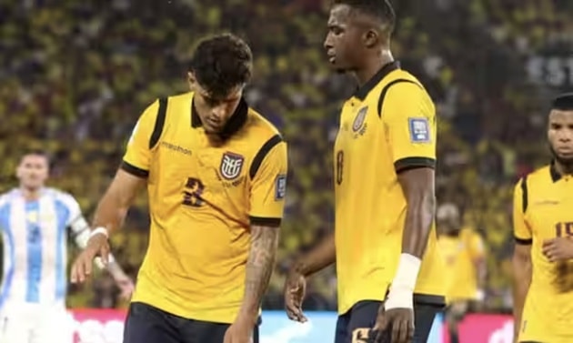 Pacho và Hincapie là những nhân tố chủ chốt trong hệ thống phòng ngự của Ecuador