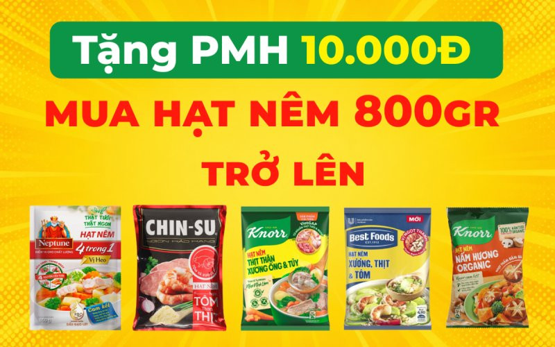Tặng phiếu mua hàng 10k mua hạt nêm từ 800g trở lên tại Bách hóa XANH