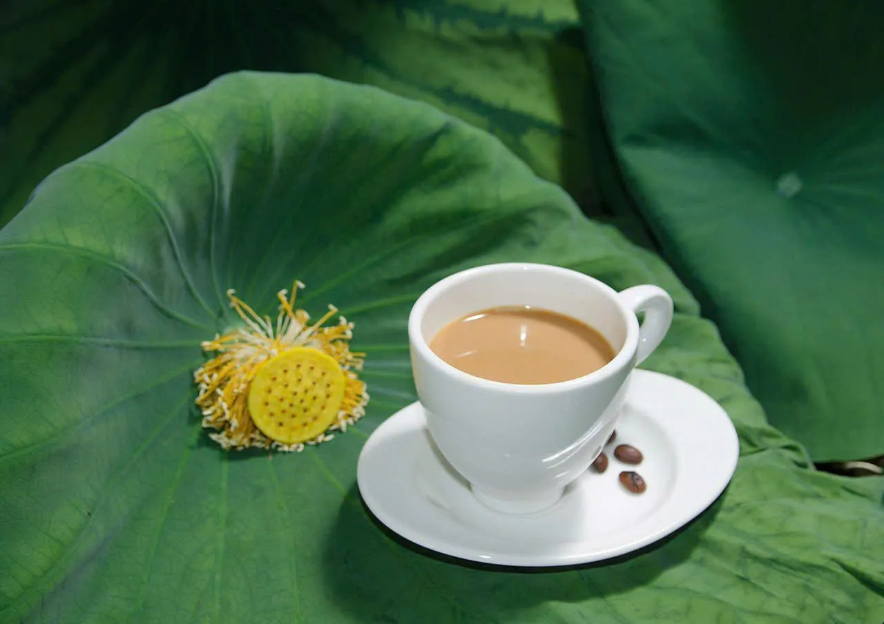 Trải nghiệm Ăn ngon, chơi chất cùng VTVgo