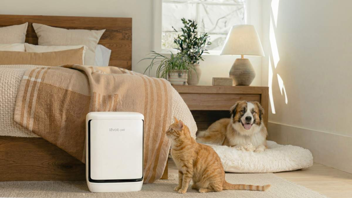 Máy lọc không khí Levoit Vital Pet Pro ra mắt tại Việt Nam