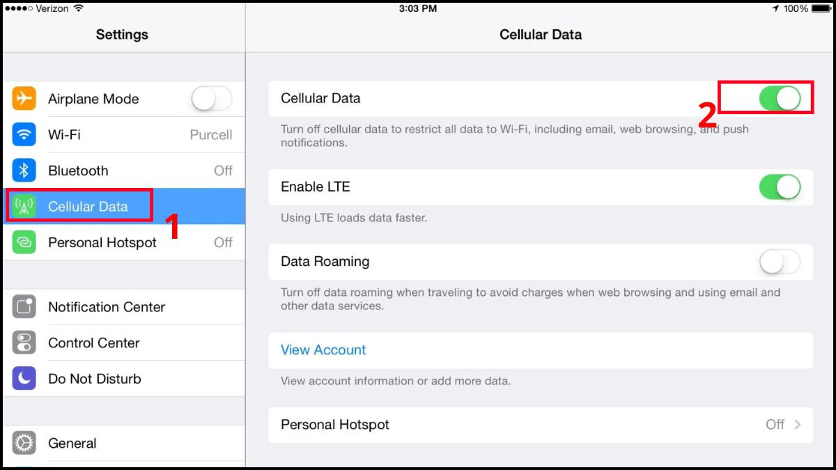 Bật dữ liệu di động trên iPad