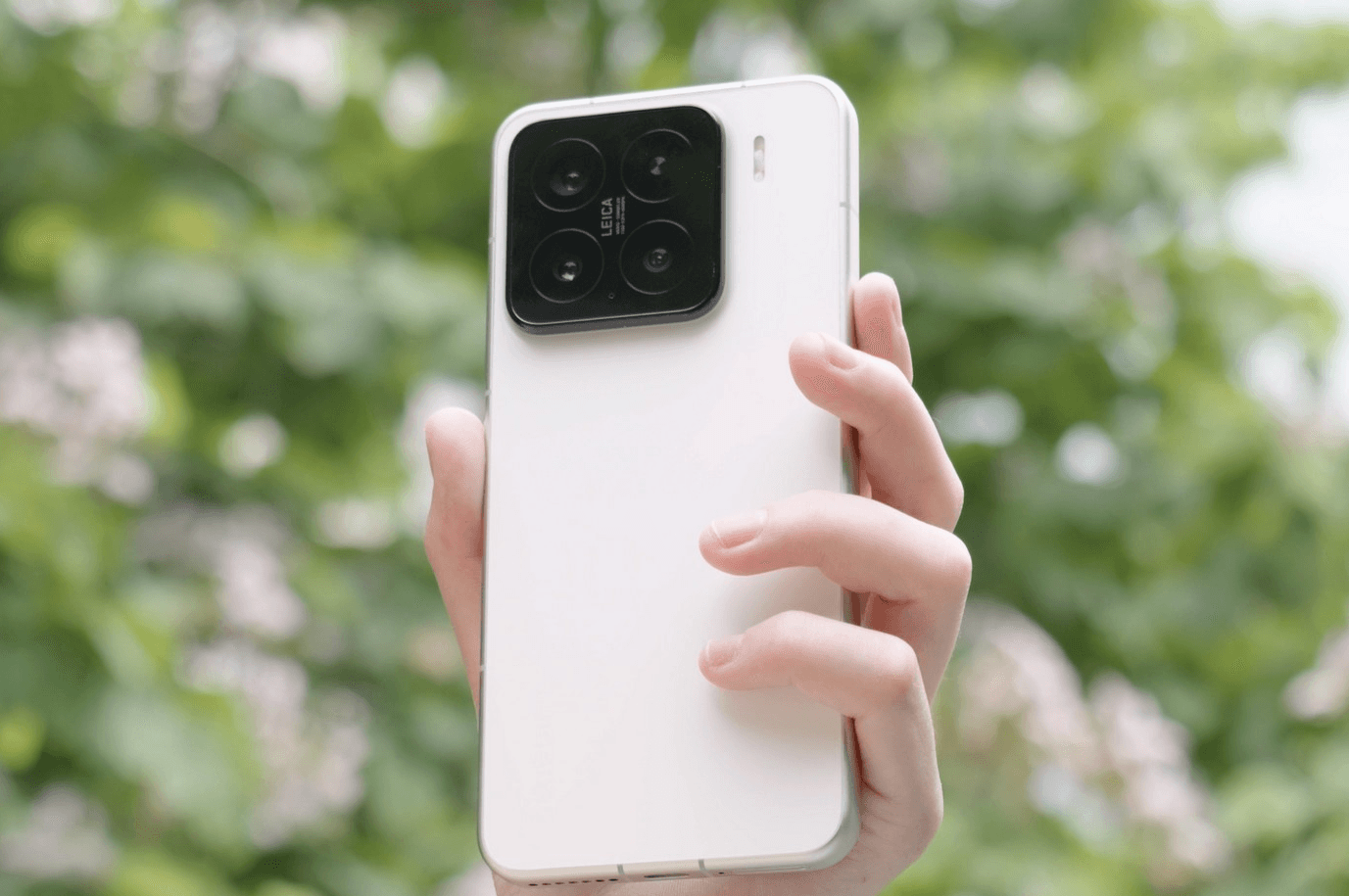 Xiaomi 15 1.png