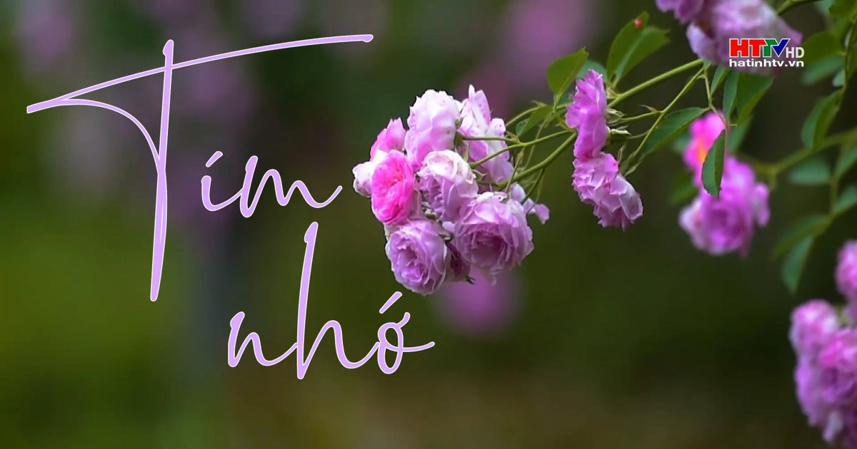 Tím nhớ