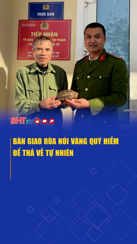 Bàn giao rùa núi vàng quý hiếm để thả về tự nhiên