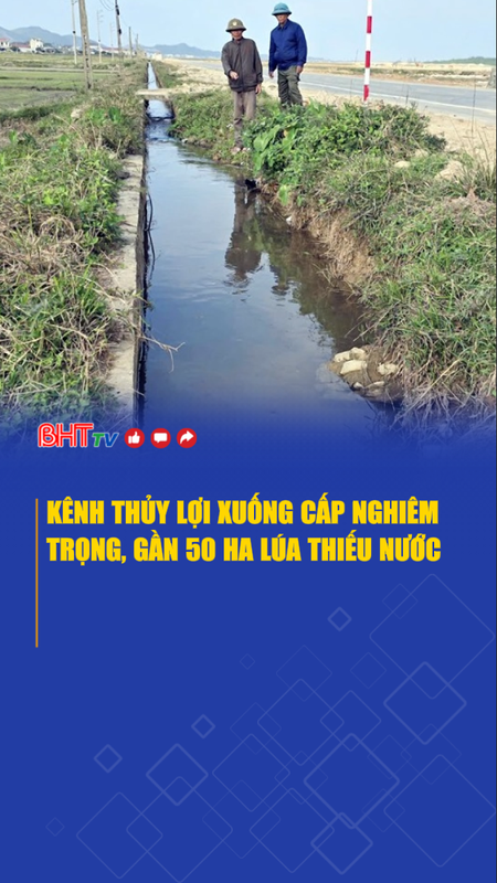 Kênh thủy lợi xuống cấp nghiêm trọng, gần 50 ha lúa thiếu nước