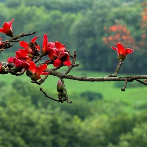 Văn nghệ thiếu nhi: Tháng ba tươi đẹp