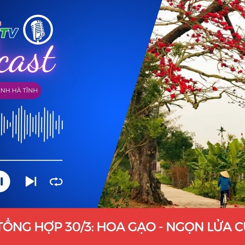Văn nghệ tổng hợp 30/3: Hoa gạo - Ngọn lửa của ký ức