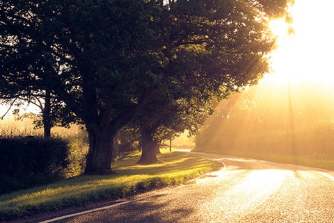 Văn nghệ tổng hợp: Tháng Tư về