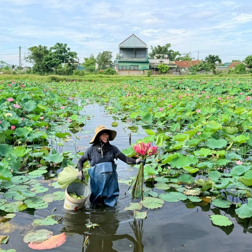 Cảm xúc tháng Sáu