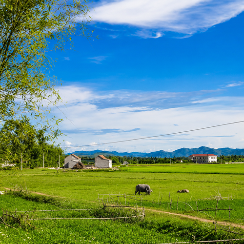 Tạp chí văn hóa văn nghệ cho người cao tuổi: Màu nắng quê hương
