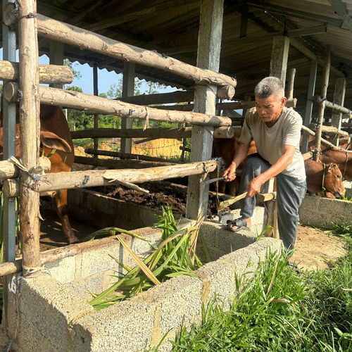 Vùng cao Hà Tĩnh với hành trình thoát nghèo bền vững