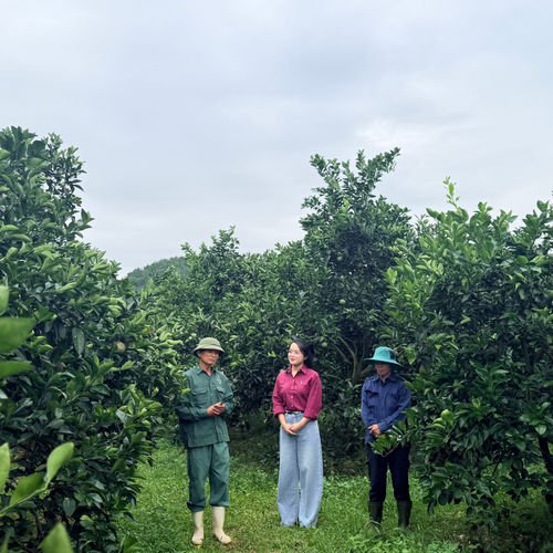 Về miền non nước Trà Sơn, Hà Tĩnh