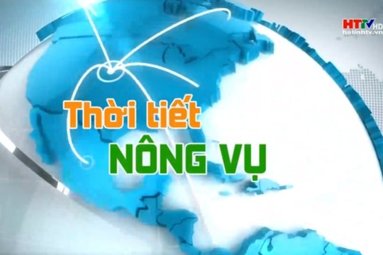 Dự báo thời tiết nông vụ từ 15/10 đến 19/10/2024