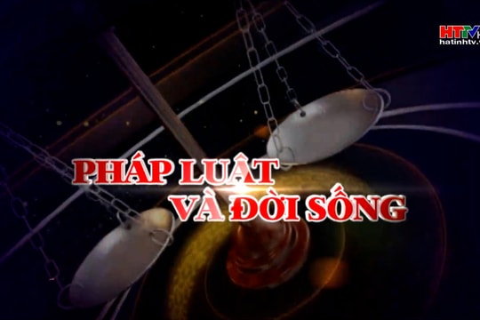 Hiệu quả từ chính sách hỗ trợ doanh nghiệp