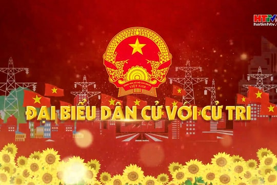 Kết quả chính sách hỗ trợ nâng cao chất lượng đàn bò theo Nghị quyết số 51