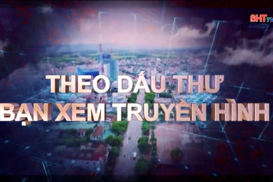 Có hay không việc cấp nhầm lẫn 2 thửa đất ?