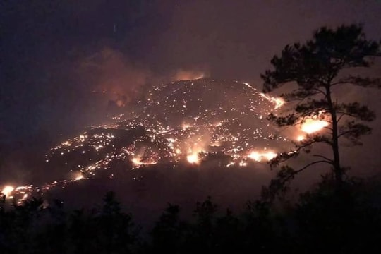 Xảy ra 2 đám cháy rừng trong đêm, Quảng Ninh huy động hàng trăm người dập lửa
